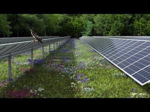Birch Solar Farm in Ohio | Lightsource bp USA | Global Leaders in Solar Development